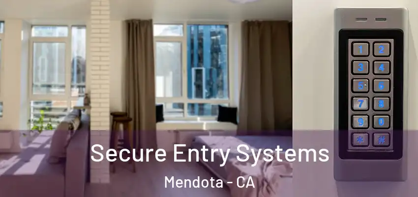  Secure Entry Systems Mendota - CA
